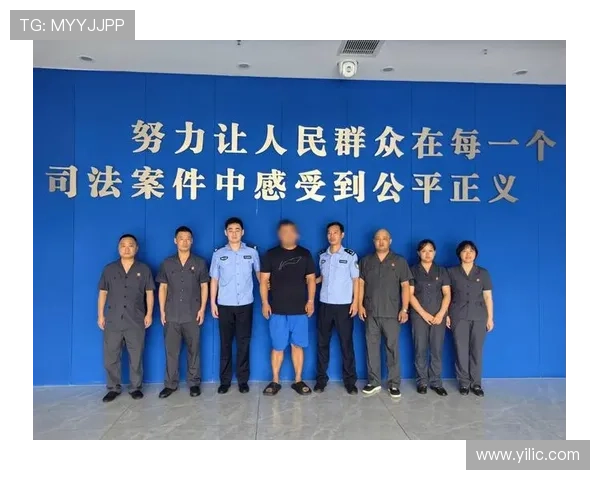 深圳排球队与成都排球队的赛后复盘分析团队协作的关键因素与表现