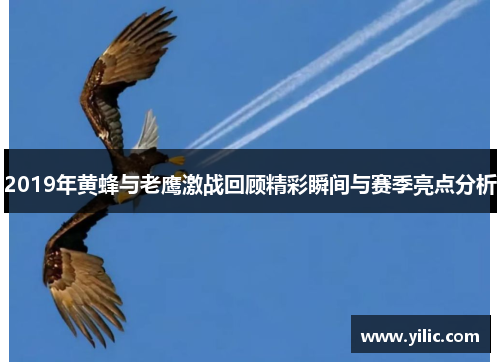 2019年黄蜂与老鹰激战回顾精彩瞬间与赛季亮点分析